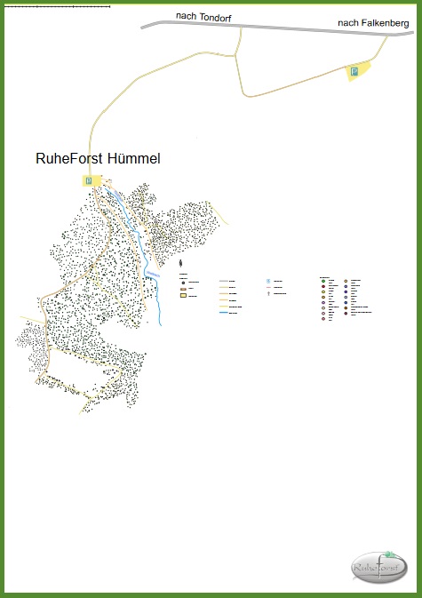 Baumsuche im RuheForst Hümmel Waldbestattung