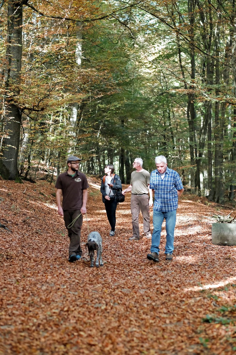 Führung im RuheForst Hümmel Waldbestattung