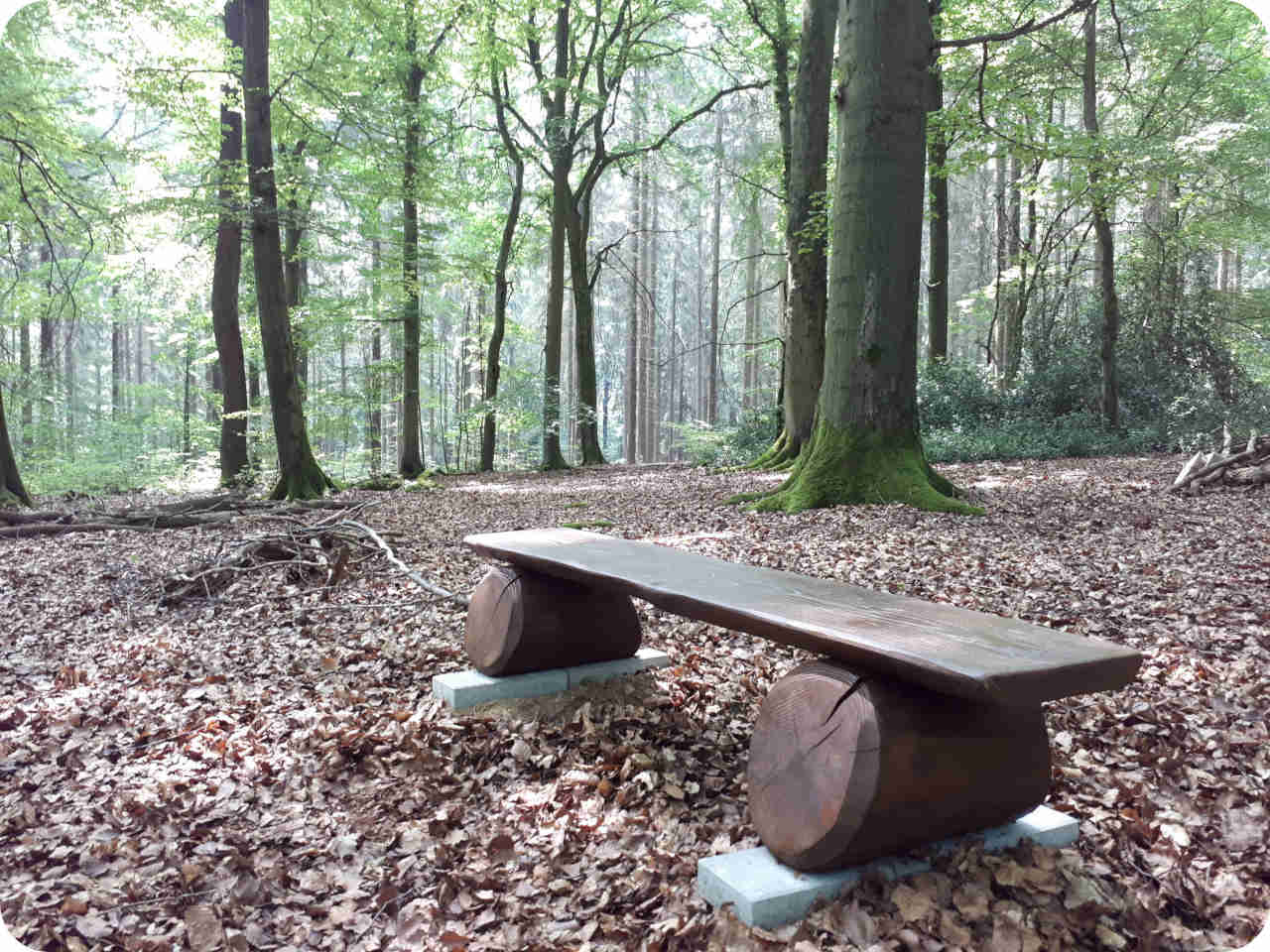 Sitzbank im RuheForst Hümmel