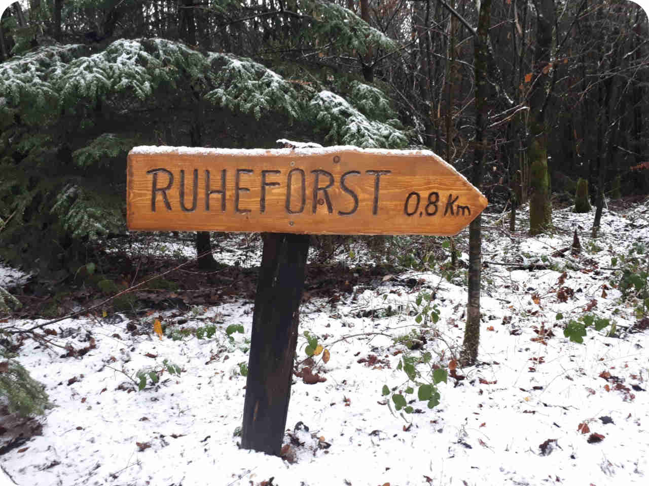 Wegeschild im RuheForst Hümmel